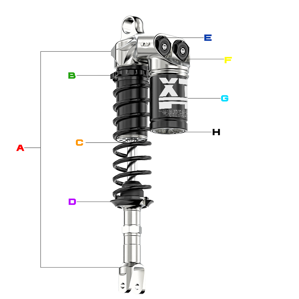 XTR 雙槍