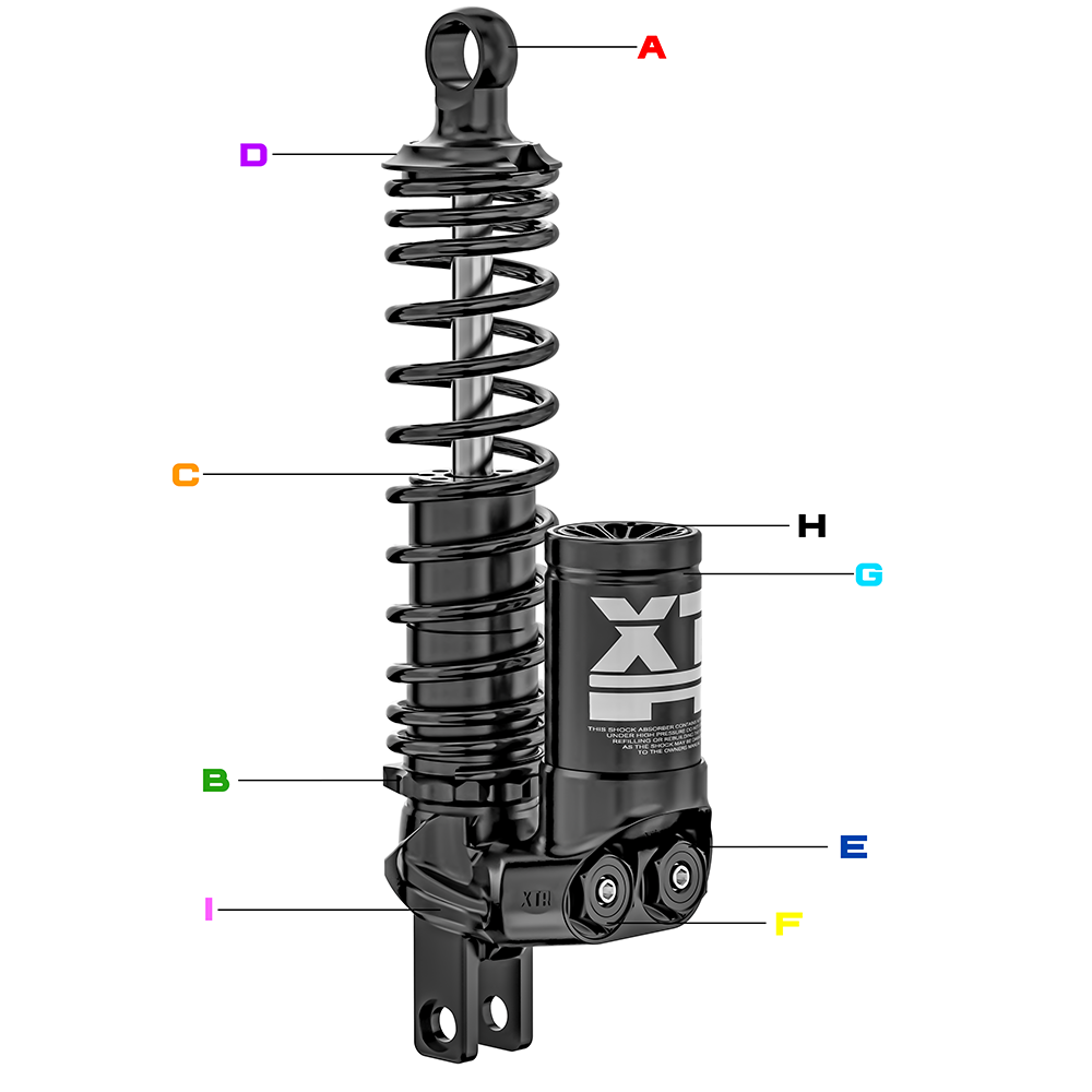 XTR 正叉雙槍